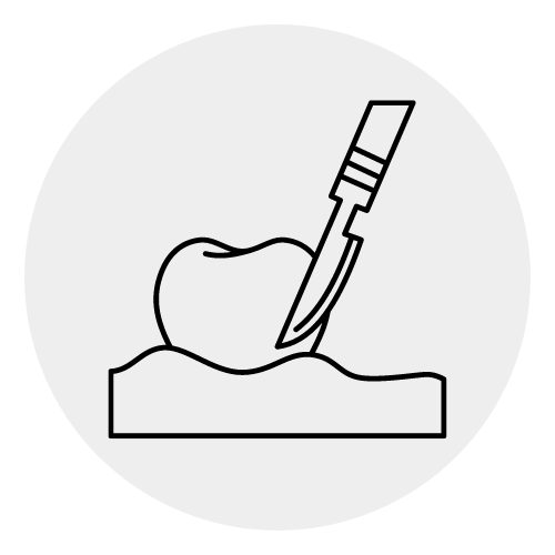 Alt Image